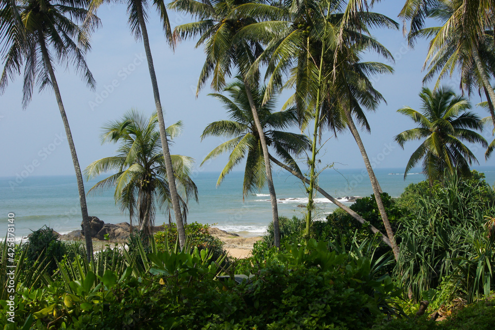 Sri Lanka: An der Südküste