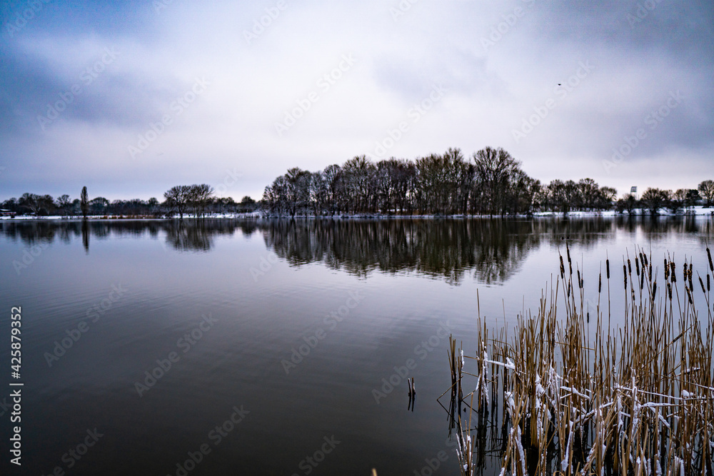 beautiful, almost frozen river called werdersee with reed in the front at cold snowy white winter in bremen
