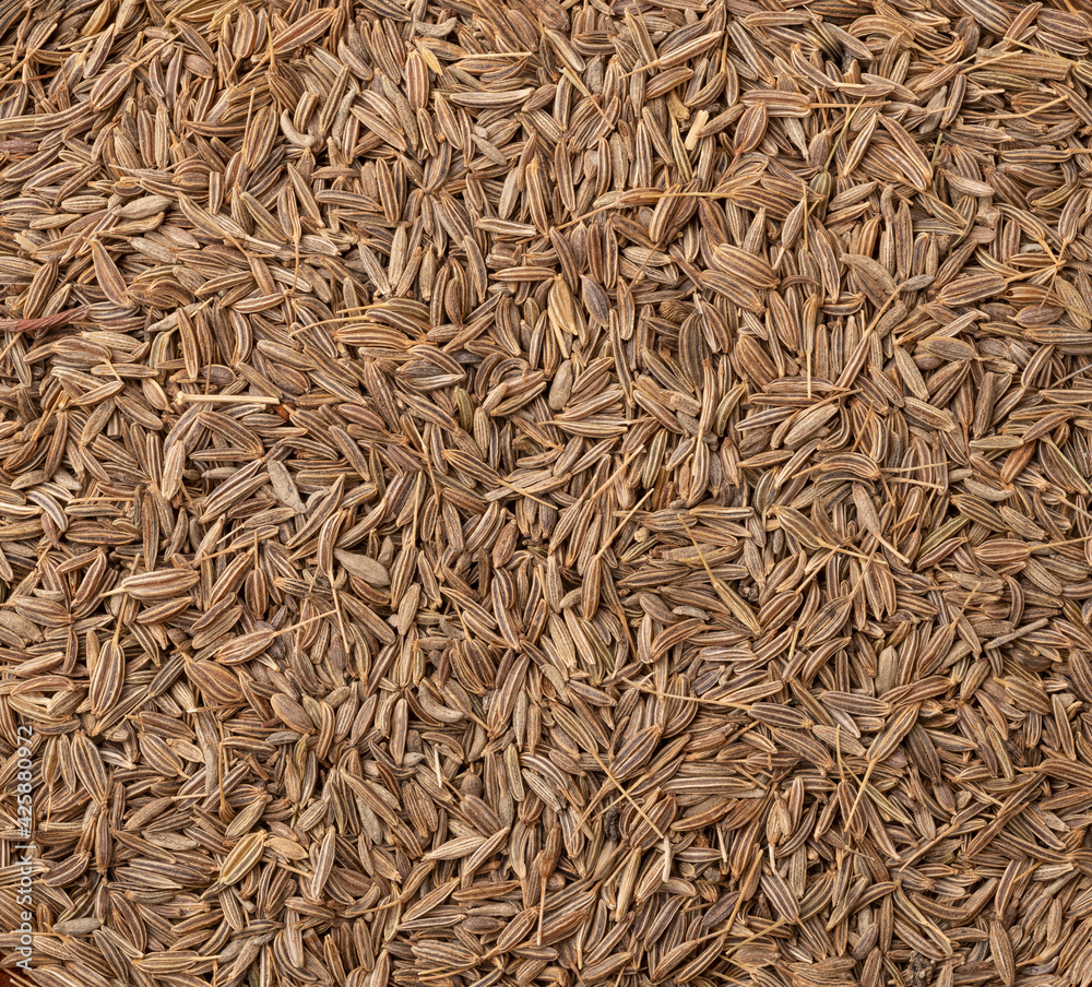 Top view, closeup of cumin seeds. Food backdrop Top view, closeup of cumin seeds. Food backdrop