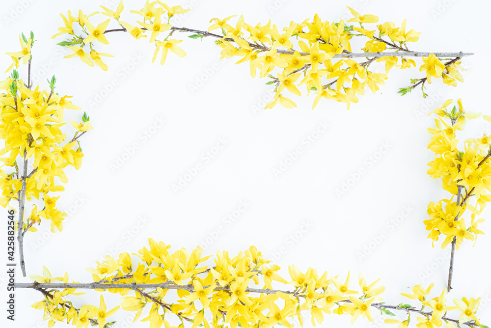 Floral composition. Pattern made of yellow forsythia flowers on a white background. Concept of spring, easter, summer. Flat lay, top view, copy space Floral composition. Pattern made of yellow forsythia flowers on a white background. Concept of spring, easter, summer. Flat lay, top view, copy space