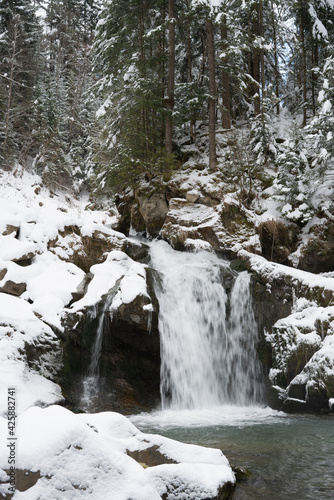 Waterfall on a mountain river in winter among the coniferous forest. Kamyanka waterfall. Carpathians. Ukraine.