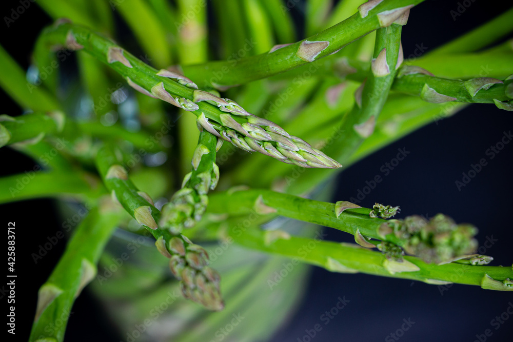 bunch of green asparagus on black background bunch of green asparagus on black background