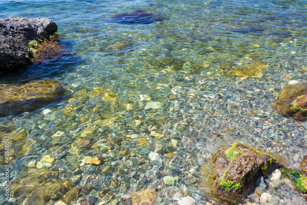 coral reef in the sea