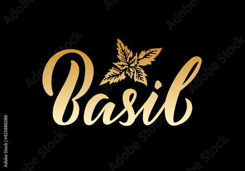 Vector illustration of basil lettering for packages  product design  banners  stickers  spice shop price list and  decoration. Handwritten isolated word with floral graphic elements for web or print 