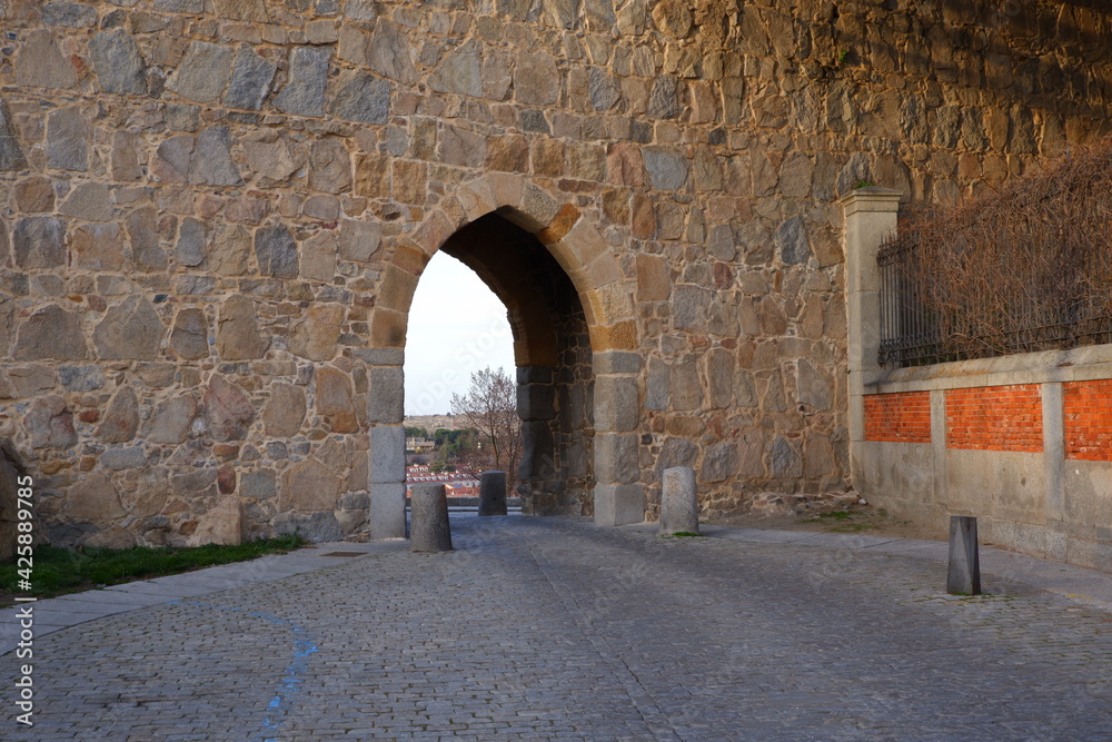 Medieval door in fortress
