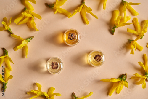 Fototapeta Bottle of essential oil with white blossoms