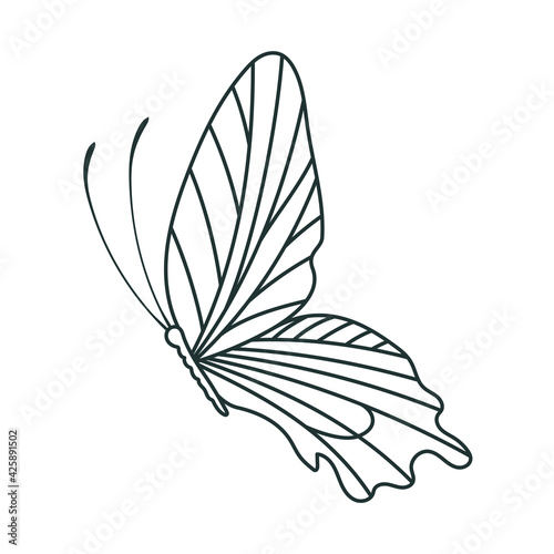 lovely side butterfly