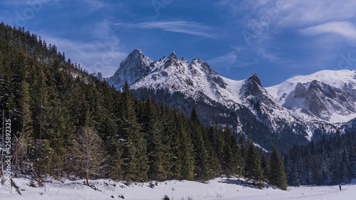 Dolina Małej Łąki w Tatrach Zachodnich - Park Narodowy © slawjanek