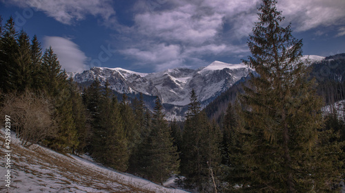 Fototapeta Naklejka Na Ścianę i Meble -  Dolina Małej Łąki w Tatrach Zachodnich - Park Narodowy