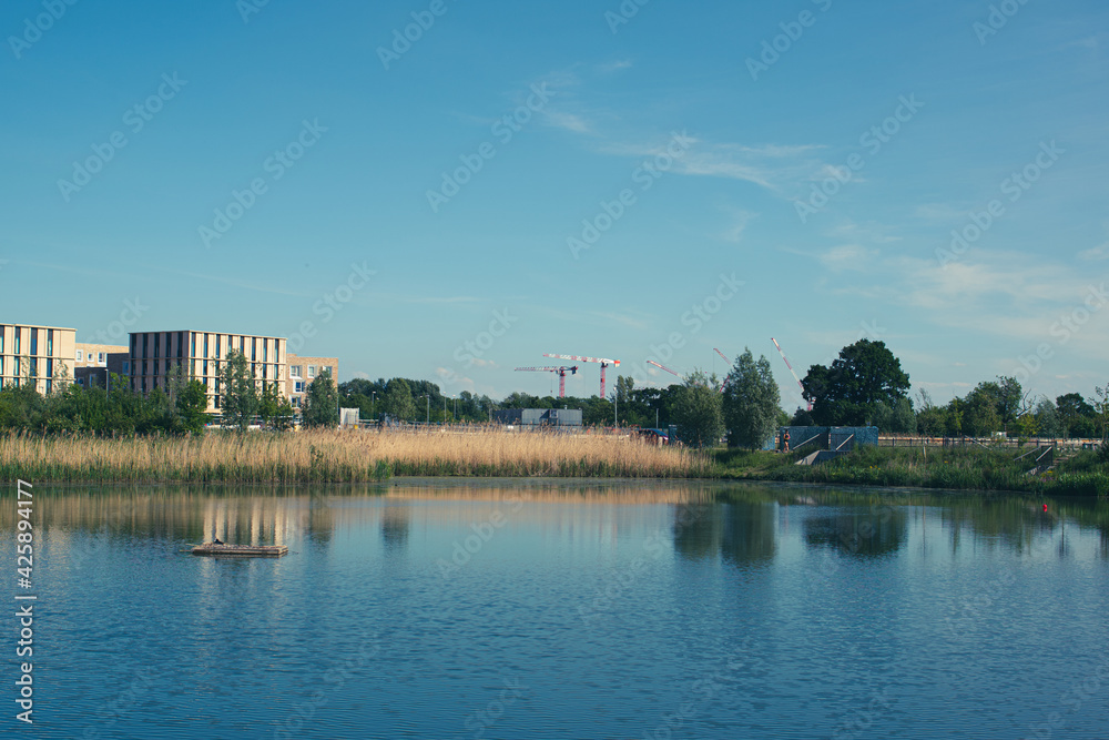 The boardwalk, the pond, the houses in the distance, and the construction site.