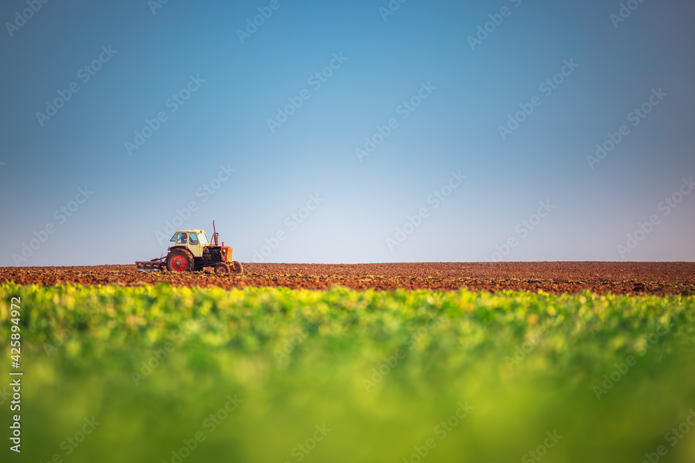 Fototapeta premium Tractor plowing the fields