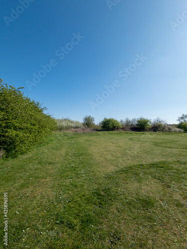 Swanscombe nature reserve field