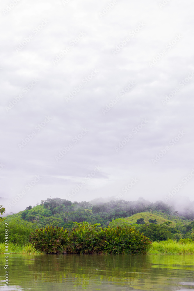 Fototapeta premium jungle and sea