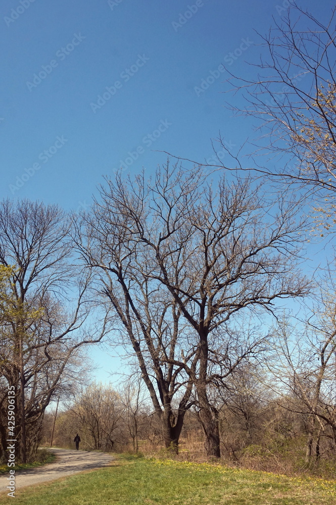 Man Walking on Trail on Early Spring Day