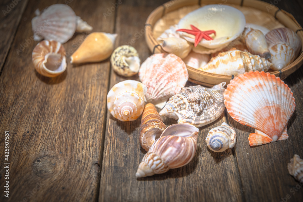 Seashell treasures on wooden old boards.