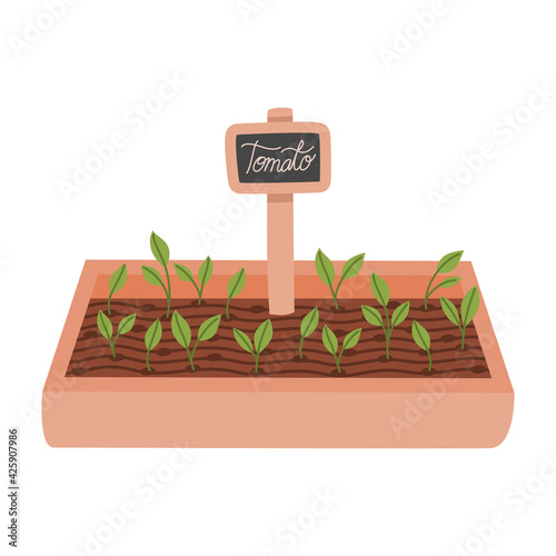 garden with tomatos
