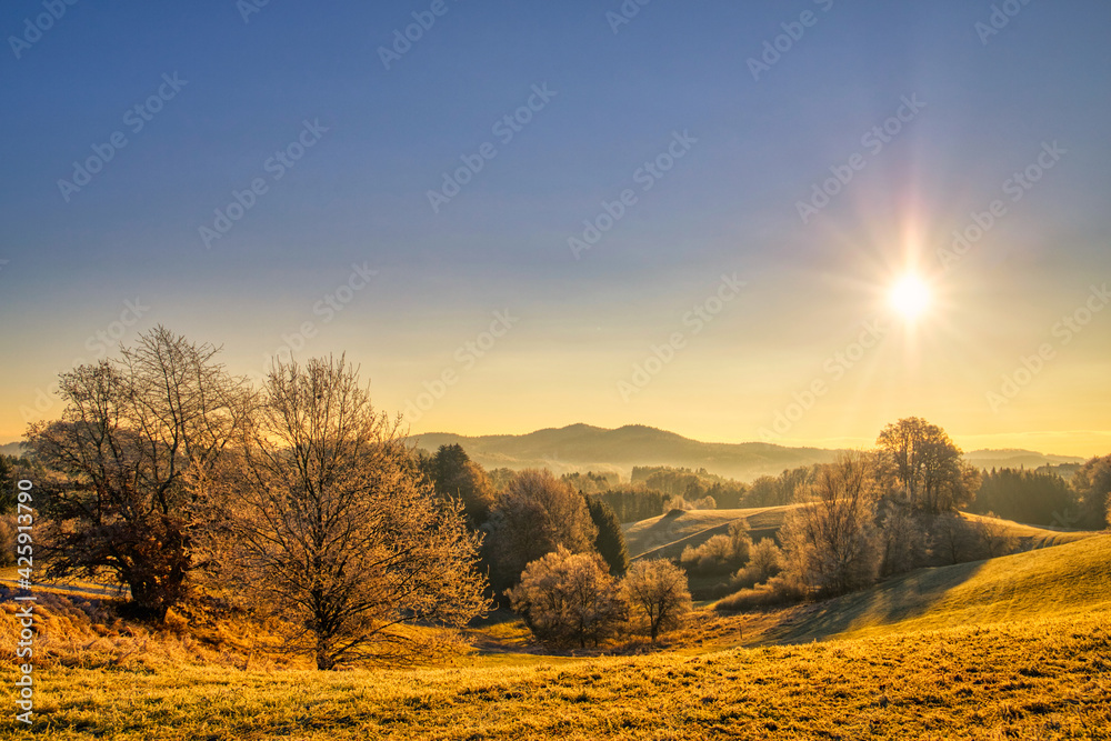 Rural landscape view at fields and meadows near Ranfels, a small village in lower bavaria, germany, during sunset