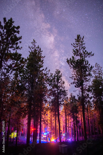 The Milky Way rising over a party in the forest.