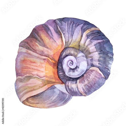 Watercolor blue pink sea shell with pearl isolated on white background. Creative hand-drawn nature realistic object for celebration, stationery, card, wallpaper, textile, wrapping, florist