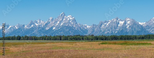 Panorama of the Grand Teton mountain range in summer with copy space, Grand Teton national park, Wyoming, United States of America (USA).