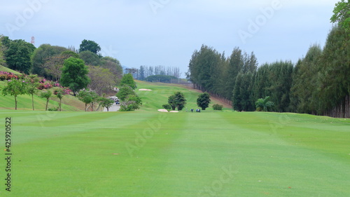 Green trees in the middle of the golf course