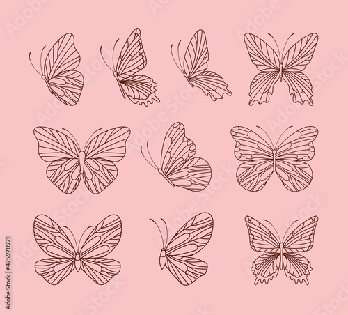 cute butterflies bundle
