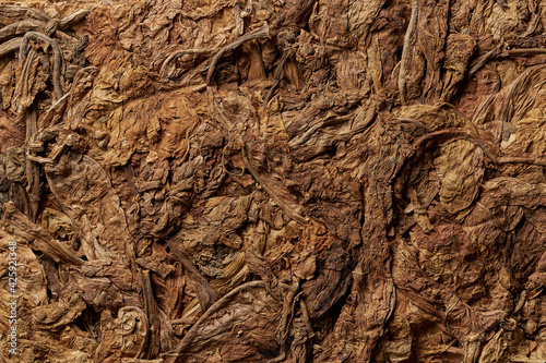 Tobacco leaves pattern. High quality photo photo