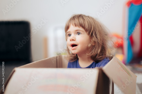 Toddler Girl Playing in a Cardboard Box at Home