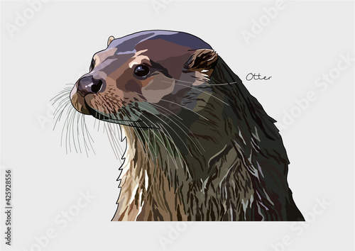 Vector Illustration of adorable Otter	