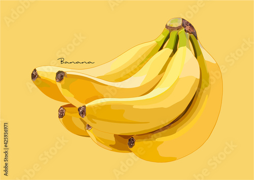 Vector Illustration of yellow Banana Fruit