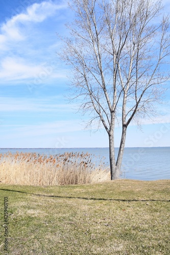 Scenic view of Montreal from Perrot island photo