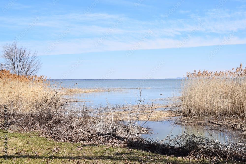 Scenic view of Montreal from Perrot island