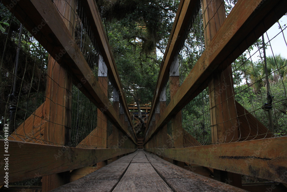 Fototapeta premium Wooden Bridge