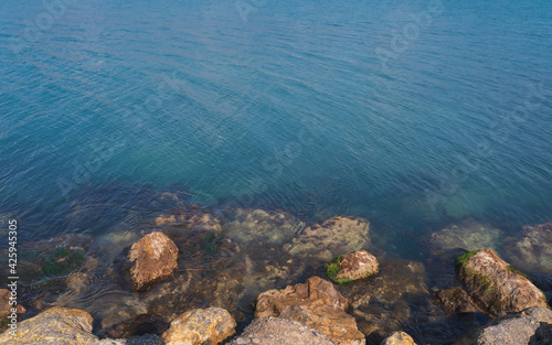 Fototapeta Naklejka Na Ścianę i Meble -  Stones covered with algae on the seashore with clear transparent water close-up
