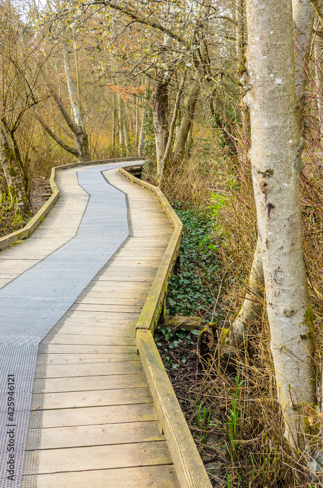 Wooden path at Deer Lake trail in Vancouver, Canada. Wooden path at Deer Lake trail in Vancouver, Canada.