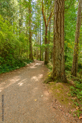 Fragment of Lake Cowichan trail in Nanaimo, Vancouver, Canada.