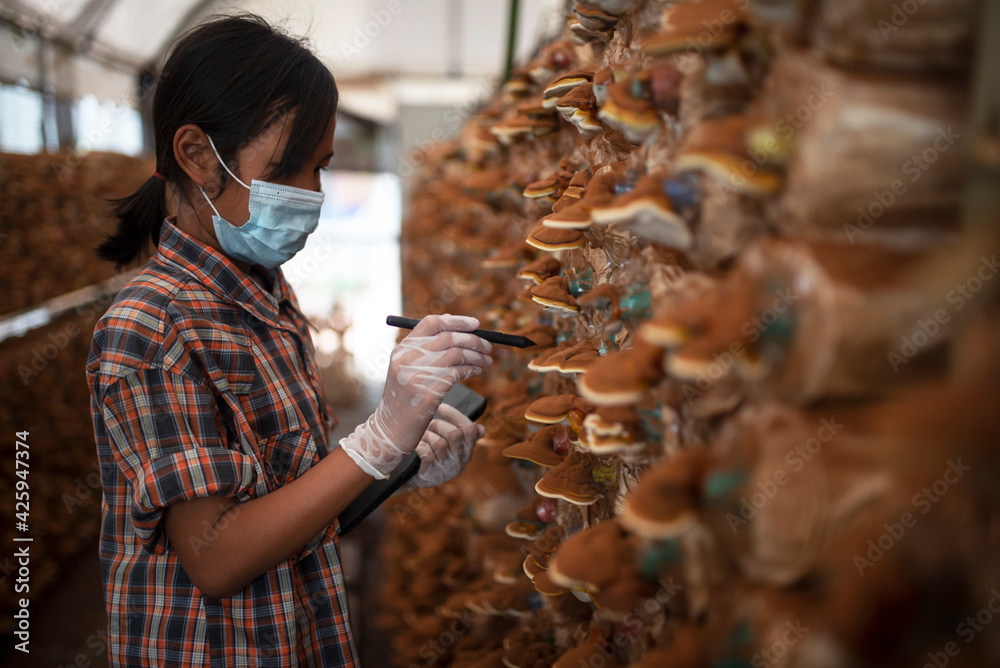 Children's agriculture researchers investigating mushroom cultivation. The girl is examining the mushroom cultivation at the laboratory.