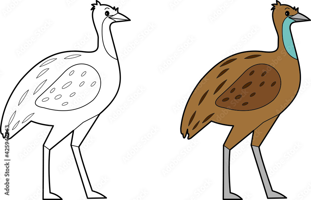 Fototapeta premium Emu bird illustration
