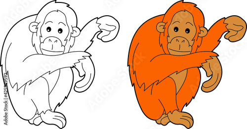 Orangutan Illustration