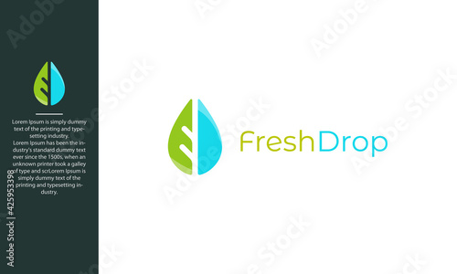 illustration vector graphic of modern, trendy, natural, clean, fresh, simple, sophisticated, organic, combination leaf and water drop logo design