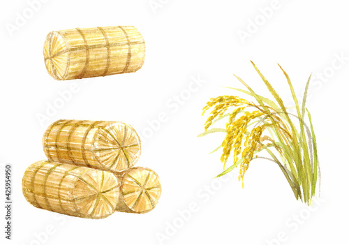 Cuadro en lienzo 米俵と稲穂　水彩画セット