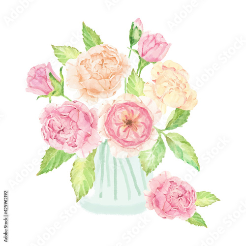 watercolor hand drawn pink English rose bouquet in glass isolated on white background