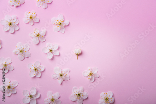 Blurred delicate pink creative floral background.