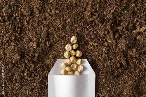 One white opened paper pack of dry pea seeds on fresh dark soil background. Closeup. Preparation for garden season in early spring. Top down view. photo