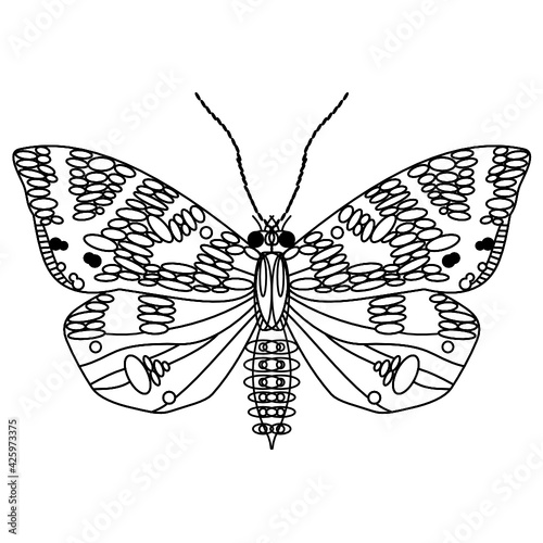 Papillion vectoriel