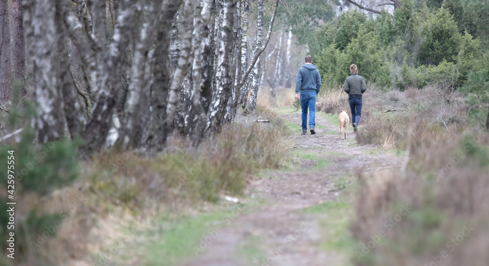 Man and woman walking with their dog in the forest Man and woman walking with their dog in the forest