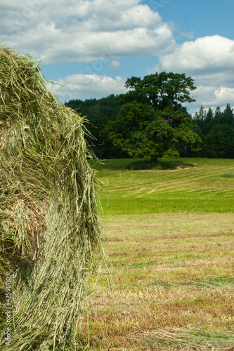 haystack on the background of a rural landscape on a summer day