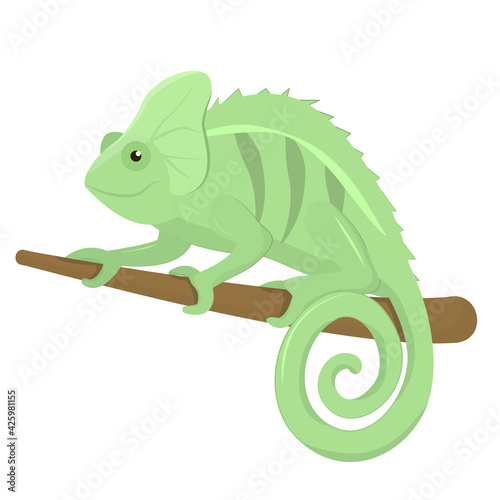 vector illustration of a chameleon sitting on a branch isolated on a white background