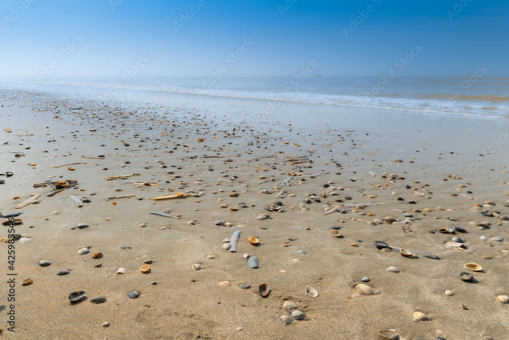 beach, shells, sands, blue sky, sea beach, shells, sands, blue sky, sea