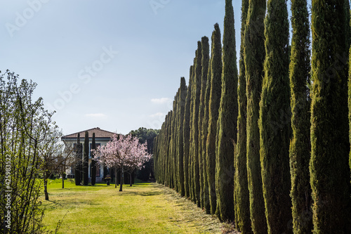 tuscan garden in Germany